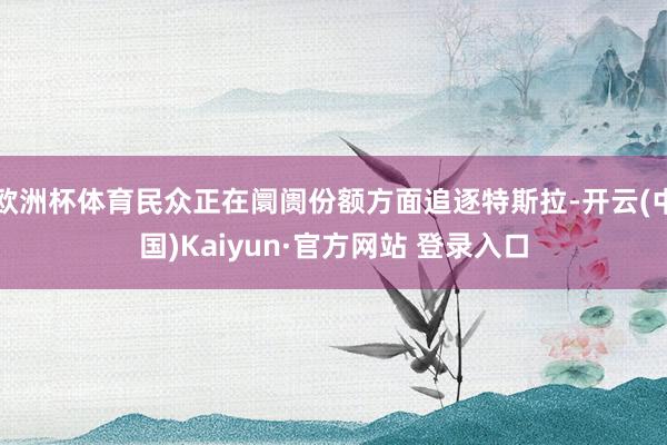 欧洲杯体育民众正在阛阓份额方面追逐特斯拉-开云(中国)Kaiyun·官方网站 登录入口