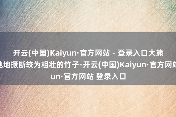 开云(中国)Kaiyun·官方网站 - 登录入口大熊猫不错松驰地撅断较为粗壮的竹子-开云(中国)Kaiyun·官方网站 登录入口
