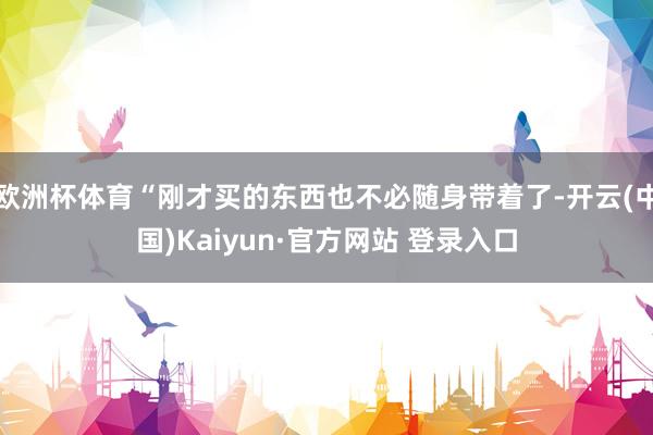 欧洲杯体育“刚才买的东西也不必随身带着了-开云(中国)Kaiyun·官方网站 登录入口