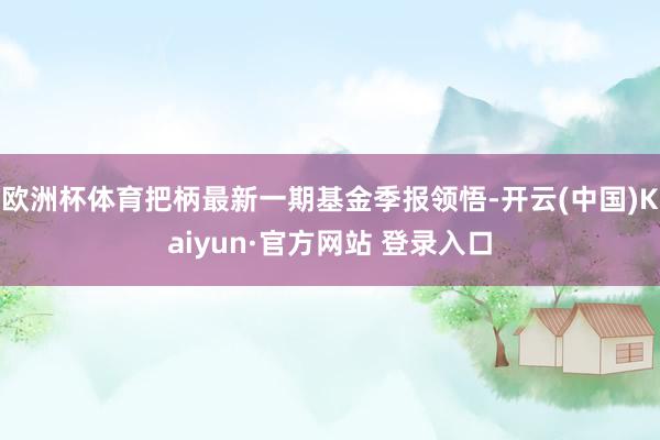 欧洲杯体育把柄最新一期基金季报领悟-开云(中国)Kaiyun·官方网站 登录入口