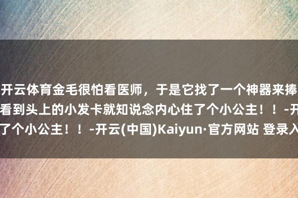 开云体育金毛很怕看医师，于是它找了一个神器来捧场，笑喷了！网友：看到头上的小发卡就知说念内心住了个小公主！！-开云(中国)Kaiyun·官方网站 登录入口