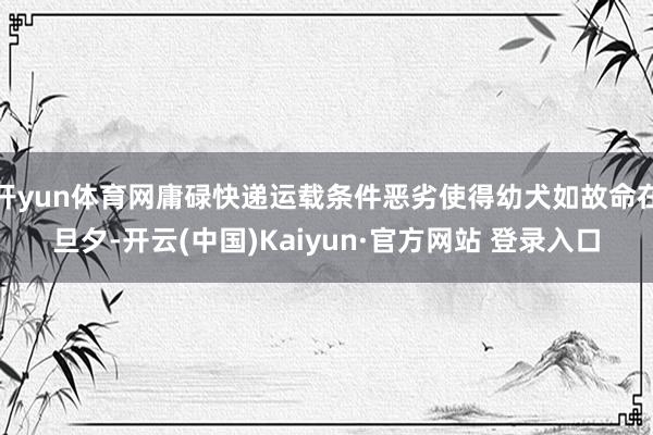 开yun体育网庸碌快递运载条件恶劣使得幼犬如故命在旦夕-开云(中国)Kaiyun·官方网站 登录入口