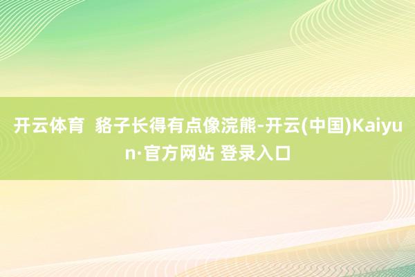 开云体育  貉子长得有点像浣熊-开云(中国)Kaiyun·官方网站 登录入口