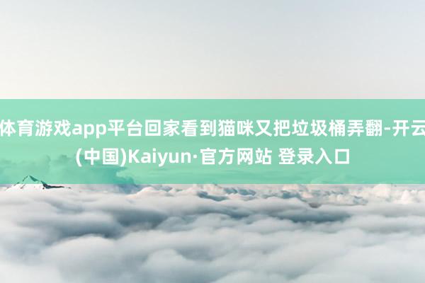 体育游戏app平台回家看到猫咪又把垃圾桶弄翻-开云(中国)Kaiyun·官方网站 登录入口