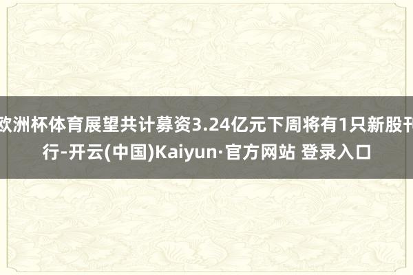 欧洲杯体育展望共计募资3.24亿元下周将有1只新股刊行-开云(中国)Kaiyun·官方网站 登录入口