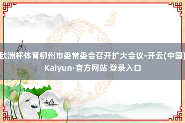 欧洲杯体育柳州市委常委会召开扩大会议-开云(中国)Kaiyun·官方网站 登录入口