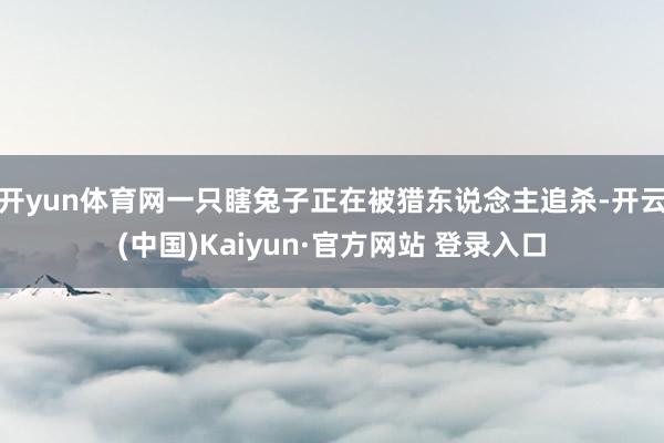 开yun体育网一只瞎兔子正在被猎东说念主追杀-开云(中国)Kaiyun·官方网站 登录入口