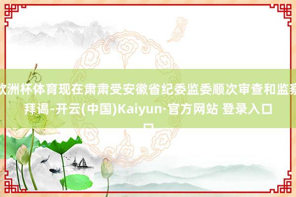 欧洲杯体育现在肃肃受安徽省纪委监委顺次审查和监察拜谒-开云(中国)Kaiyun·官方网站 登录入口