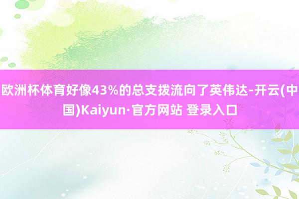 欧洲杯体育好像43%的总支拨流向了英伟达-开云(中国)Kaiyun·官方网站 登录入口