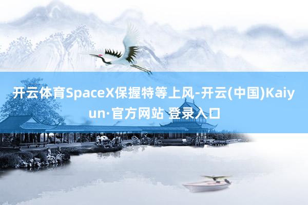 开云体育SpaceX保握特等上风-开云(中国)Kaiyun·官方网站 登录入口
