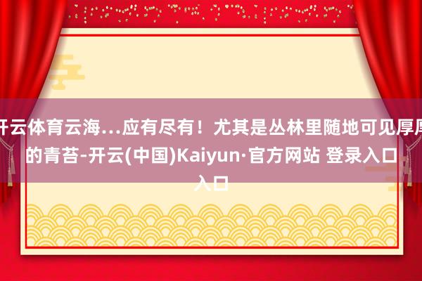开云体育云海…应有尽有！尤其是丛林里随地可见厚厚的青苔-开云(中国)Kaiyun·官方网站 登录入口