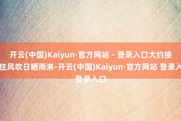 开云(中国)Kaiyun·官方网站 - 登录入口大约接受住风吹日晒雨淋-开云(中国)Kaiyun·官方网站 登录入口