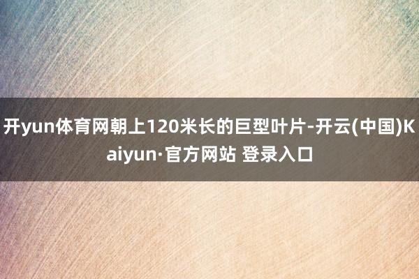 开yun体育网朝上120米长的巨型叶片-开云(中国)Kaiyun·官方网站 登录入口