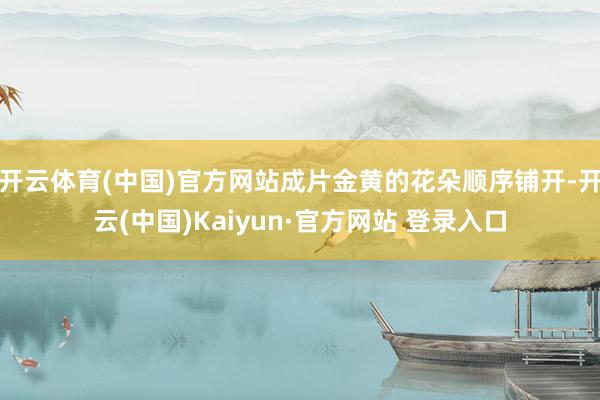 开云体育(中国)官方网站成片金黄的花朵顺序铺开-开云(中国)Kaiyun·官方网站 登录入口