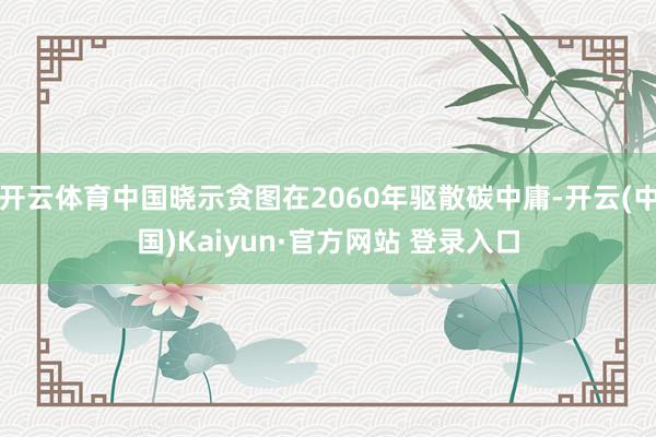 开云体育中国晓示贪图在2060年驱散碳中庸-开云(中国)Kaiyun·官方网站 登录入口