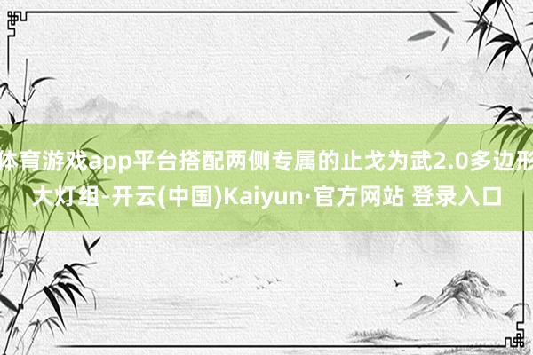体育游戏app平台搭配两侧专属的止戈为武2.0多边形大灯组-开云(中国)Kaiyun·官方网站 登录入口