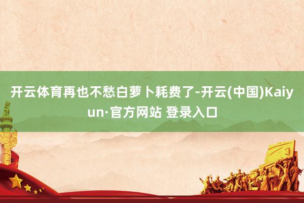 开云体育再也不愁白萝卜耗费了-开云(中国)Kaiyun·官方网站 登录入口