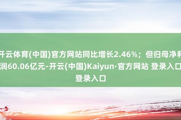 开云体育(中国)官方网站同比增长2.46%；但归母净利润60.06亿元-开云(中国)Kaiyun·官方网站 登录入口